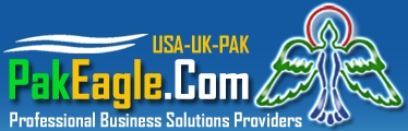 PakEagle.Com.Pk Logo