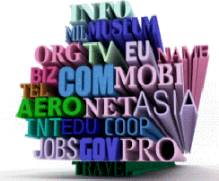 Domain Name Consulting