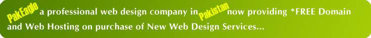 Now Pak Eagle Web Designing Is Offering Free Domain Registration & Free Web Hosting To All Development Clients.